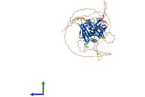 AlphaFold protein structure predicition of Human Recombinant BMAL1 Protein, UniprotID O00327