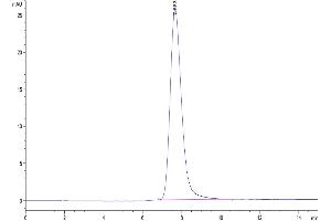 The purity of Rhesus macaque LILRB1 is greater than 95 % as determined by SEC-HPLC.
