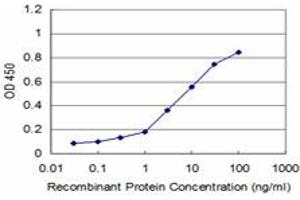 Detection limit for recombinant GST tagged RAX is approximately 0. (RAX anticorps  (AA 104-206))