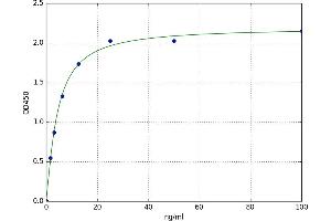A typical standard curve (BMX Kit ELISA)
