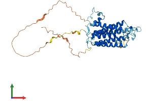 AlphaFold protein structure predicition of Mouse Recombinant Sgms2 Protein, UniprotID Q9D4B1