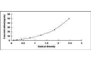 Typical standard curve (PTPRF Kit ELISA)