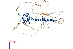 AlphaFold protein structure predicition of Human Recombinant HSF4 Protein, UniprotID Q9ULV5