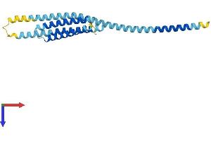 AlphaFold protein structure predicition of Mouse Recombinant Bnip1 Protein, UniprotID Q6QD59