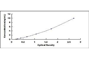2'-5' Oligoadenylate Synthetase 3 (OAS3) ELISA Kit
