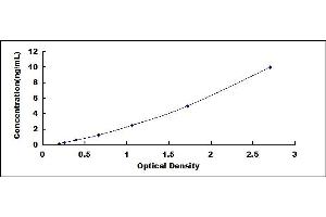 Typical standard curve (OAS3 Kit ELISA)