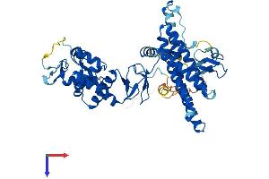 AlphaFold protein structure predicition of Human Recombinant ARIH2 Protein, UniprotID O95376