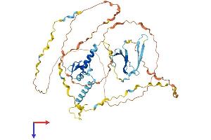 AlphaFold protein structure predicition of Mouse Recombinant Sf3a2 Protein, UniprotID Q62203