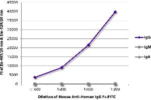 FLISA plate was coated with purified human IgG, IgM, and IgA. (Souris anti-Humain IgG (Fc Region) Anticorps (FITC))