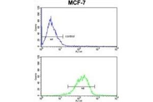 Flow Cytometry (FACS) image for anti-RNA Binding Motif Protein 3 (RBM3) antibody (ABIN3003187) (RBM3 anticorps)