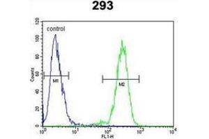 Flow cytometric analysis of 293 cells using Alpha-Mannosidase 2 / MAN2A1 Antibody (Center) Cat.