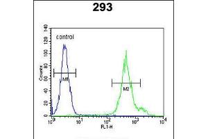 Flow cytometric analysis of 293 cells (right histogram) compared to a negative control cell (left histogram). (KLC3 anticorps  (AA 245-274))