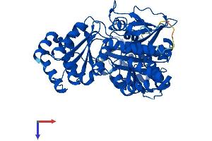 AlphaFold protein structure predicition of Human Recombinant PGM3 Protein, UniprotID O95394