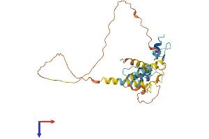 AlphaFold protein structure predicition of Human Recombinant KLF6 Protein, UniprotID Q99612