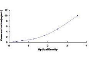 Nephronectin (NPNT) ELISA Kit
