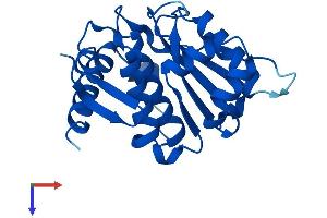 AlphaFold protein structure predicition of Human Recombinant SENP8 Protein, UniprotID Q96LD8