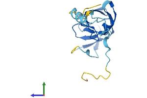 AlphaFold protein structure predicition of Human Recombinant HERV-K104 Protein, UniprotID P63124 (HERV-K104 (AA 1-156) protein (His tag))
