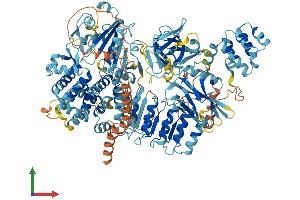 AlphaFold protein structure predicition of Mouse Recombinant Nlrp1b Protein, UniprotID A1Z198