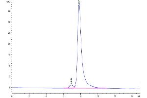 The purity of Mouse FAP is greater than 95 % as determined by SEC-HPLC.