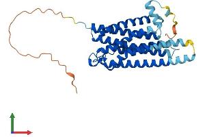 AlphaFold protein structure predicition of Mouse Recombinant Gpr12 Protein, UniprotID P35412