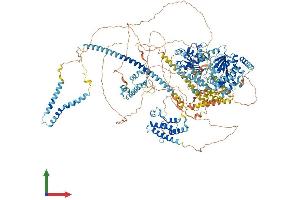AlphaFold protein structure predicition of Human Recombinant SMARCA4 Protein, UniprotID P51532