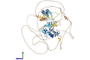 AlphaFold protein structure predicition of Mouse Recombinant Rnf19a Protein, UniprotID P50636