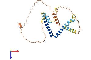 AlphaFold protein structure predicition of Human Recombinant EID2 Protein, UniprotID Q8N6I1