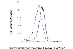 Validation of Stromal interaction molecule 1 knockdown using flow cytometry. (Recombinant STIM1 anticorps)