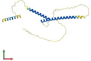AlphaFold protein structure predicition of Mouse Recombinant Mxd1 Protein, UniprotID P50538