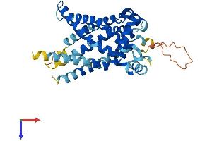 AlphaFold protein structure predicition of Mouse Recombinant Slc25a33 Protein, UniprotID Q3TZX3