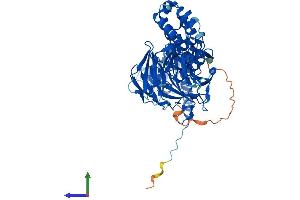 AlphaFold protein structure predicition of Mouse Recombinant Klhl21 Protein, UniprotID Q3U410