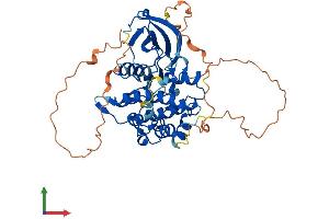 AlphaFold protein structure predicition of Human Recombinant STRADB Protein, UniprotID Q9C0K7