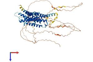 AlphaFold protein structure predicition of Mouse Recombinant Gpr153 Protein, UniprotID Q8K0Z9