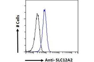 ABIN570824 Flow cytometric analysis of paraformaldehyde fixed HeLa cells (blue line), permeabilized with 0.