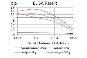 Image no. 6 for anti-Sonic Hedgehog (SHH) antibody (ABIN1491290) (Sonic Hedgehog anticorps)
