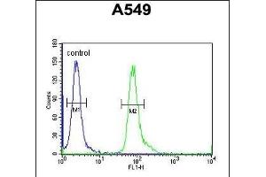 C Antibody (Center) (ABIN654949 and ABIN2844590) flow cytometric analysis of A549 cells (right histogram) compared to a negative control cell (left histogram). (FAM46D anticorps  (AA 210-239))