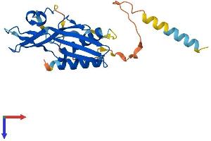 AlphaFold protein structure predicition of Human Recombinant RTP3 Protein, UniprotID Q9BQQ7