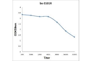 Antigen: 2 µg/100 µL  Primary: Antiserum, 1:500, 1:1000, 1:2000, 1:4000, 1:8000, 1:16000, 1:32000;  Secondary: HRP conjugated Rabbit Anti-Goat IgG at 1: 5000;  TMB staining Read the data in Microplate Reader by 450nm.