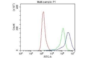 Flow Cytometry analysis of A549 cells using anti-IFNGR1 antibody .