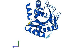 AlphaFold protein structure predicition of Human Recombinant EMC8 Protein, UniprotID O43402