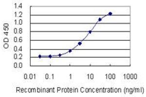 Detection limit for recombinant GST tagged CYP1A2 is 0.