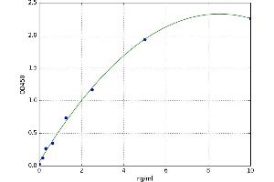 A typical standard curve