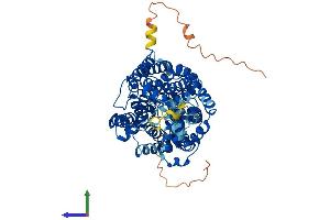 AlphaFold protein structure predicition of Mouse Recombinant Slc6a11 Protein, UniprotID P31650