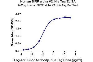 Immobilized Human SIRP alpha V2,His Tag at 0.
