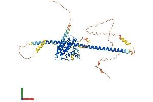 AlphaFold protein structure predicition of Human Recombinant RUNDC3B Protein, UniprotID Q96NL0