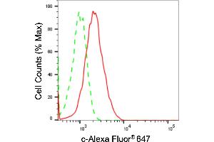 anti-Sprouty Homolog 2 (SPRY2) antibody