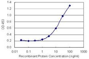 Detection limit for recombinant GST tagged MICAL3 is 0.