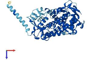 AlphaFold protein structure predicition of Mouse Recombinant Cyp2d26 Protein, UniprotID Q8CIM7