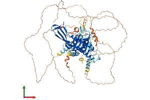 AlphaFold protein structure predicition of Human Recombinant USP1 Protein, UniprotID O94782