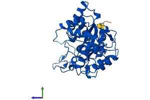 AlphaFold protein structure predicition of Human Recombinant AKR1C2 Protein, UniprotID P52895